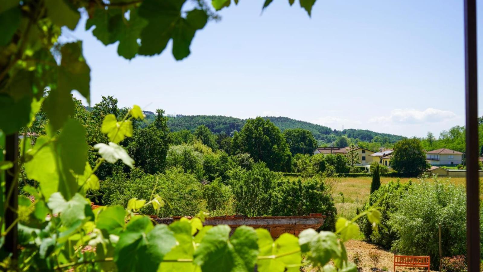 Wine House Bed & Breakfast คาปานโนริ ภายนอก รูปภาพ