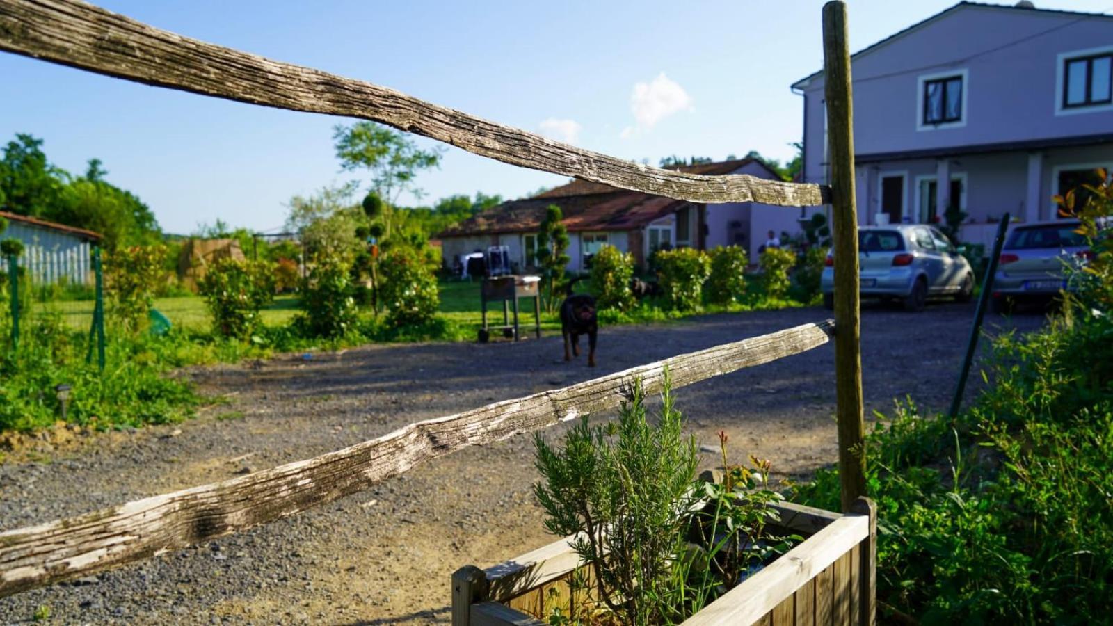 Wine House Bed & Breakfast คาปานโนริ ภายนอก รูปภาพ