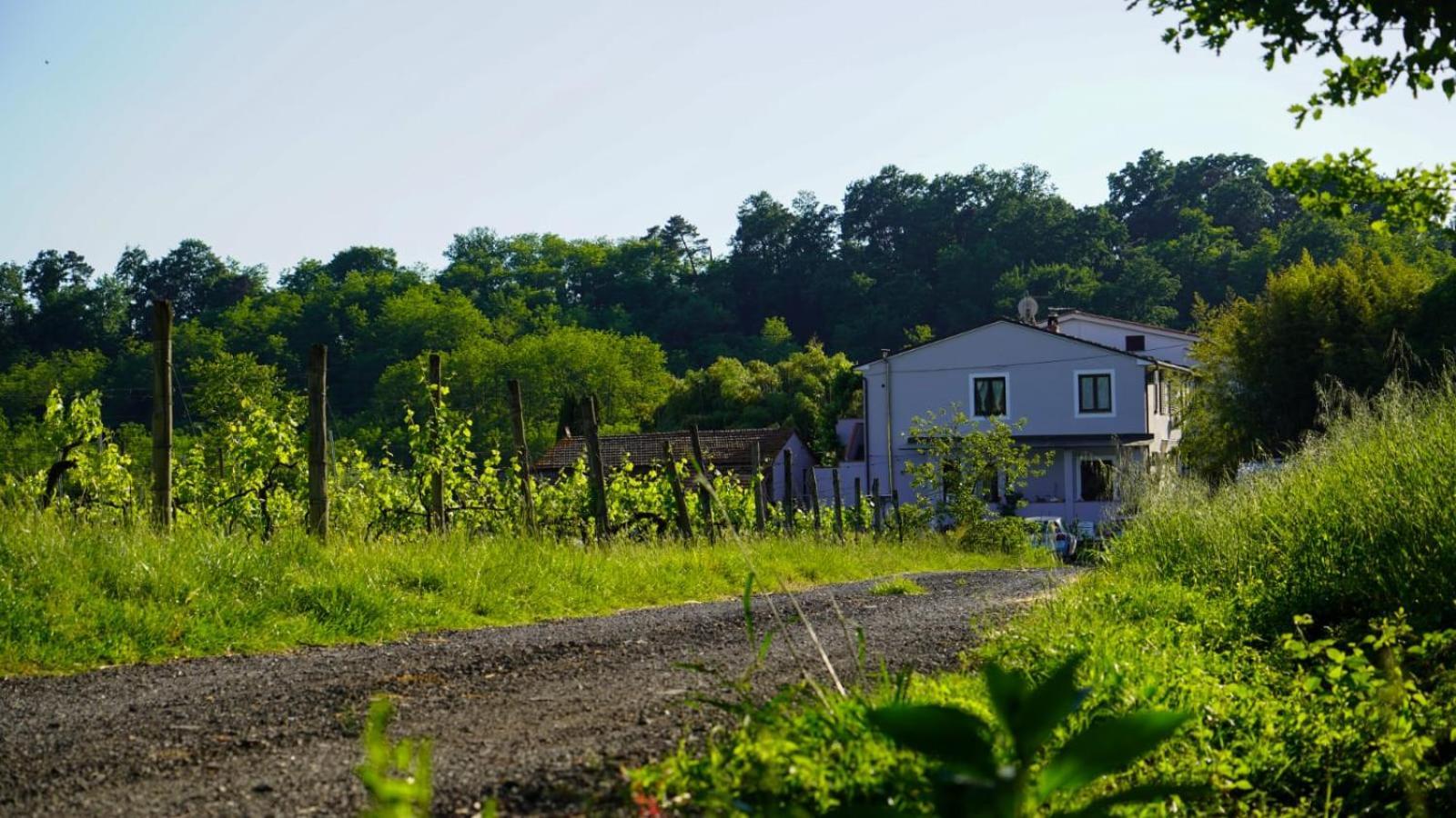 Wine House Bed & Breakfast คาปานโนริ ภายนอก รูปภาพ