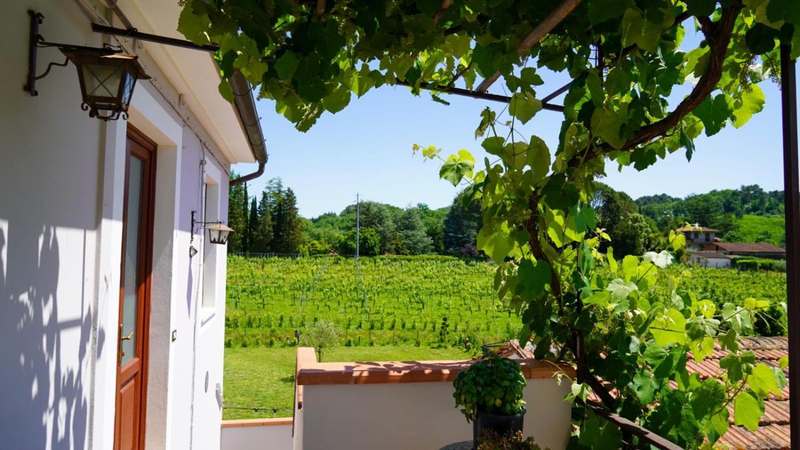 Wine House Bed & Breakfast คาปานโนริ ภายนอก รูปภาพ