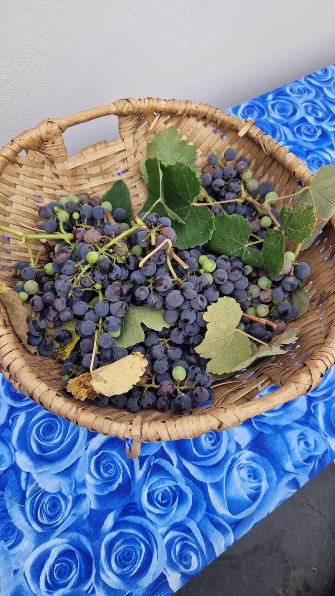 Wine House Bed & Breakfast คาปานโนริ ภายนอก รูปภาพ