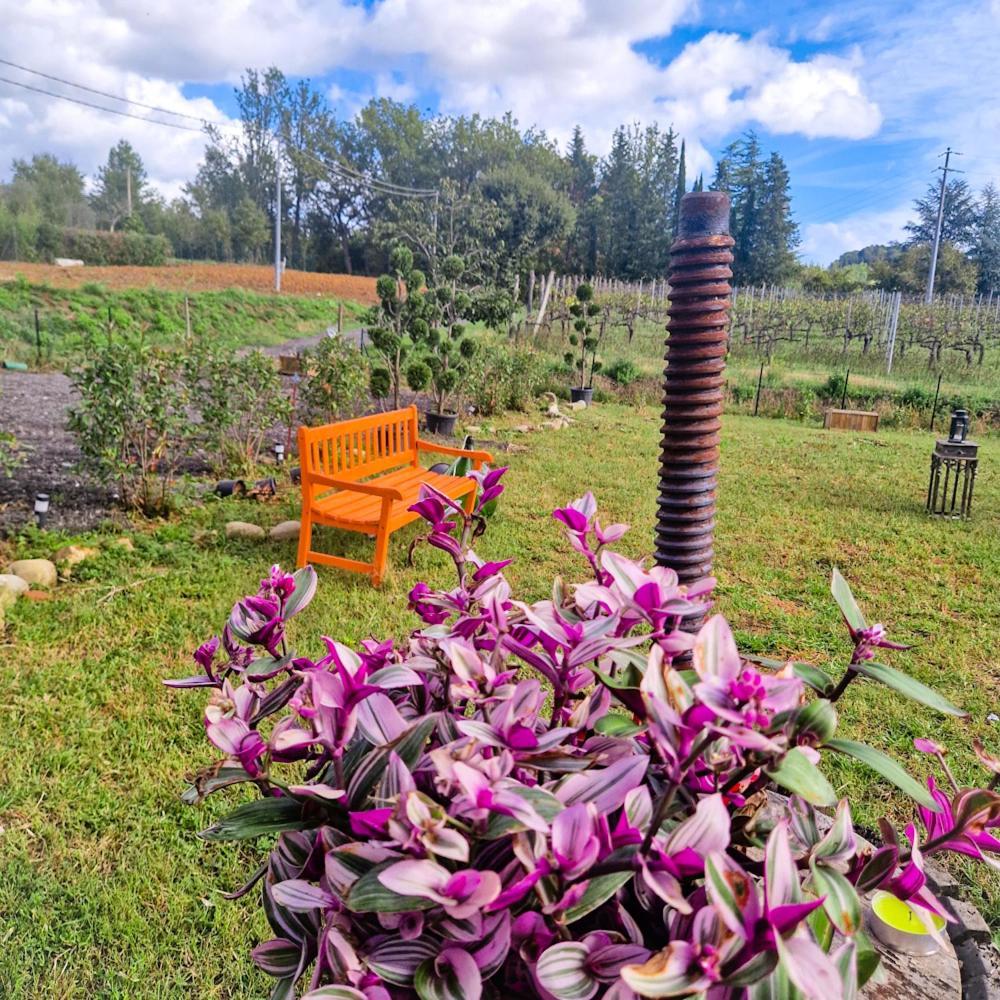 Wine House Bed & Breakfast คาปานโนริ ภายนอก รูปภาพ