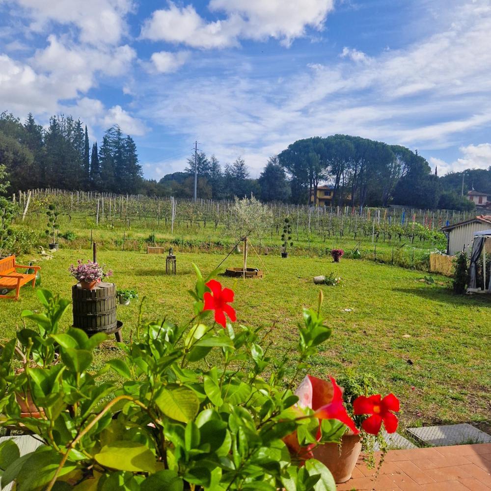 Wine House Bed & Breakfast คาปานโนริ ภายนอก รูปภาพ
