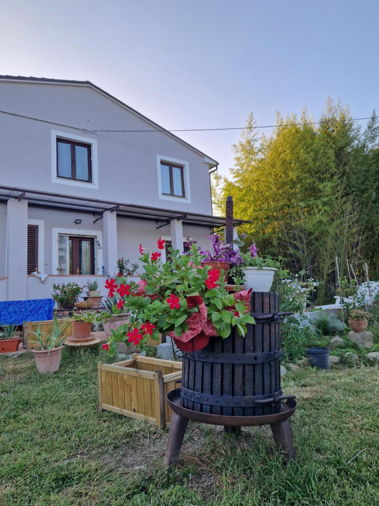 Wine House Bed & Breakfast คาปานโนริ ภายนอก รูปภาพ